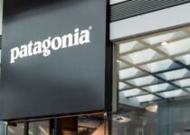 Patagonia Competitors in 2021